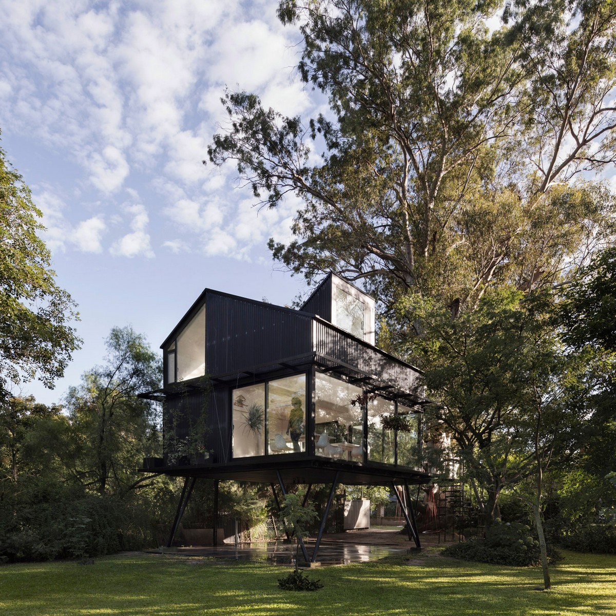 Чёрный домик на дереве в Аргентине