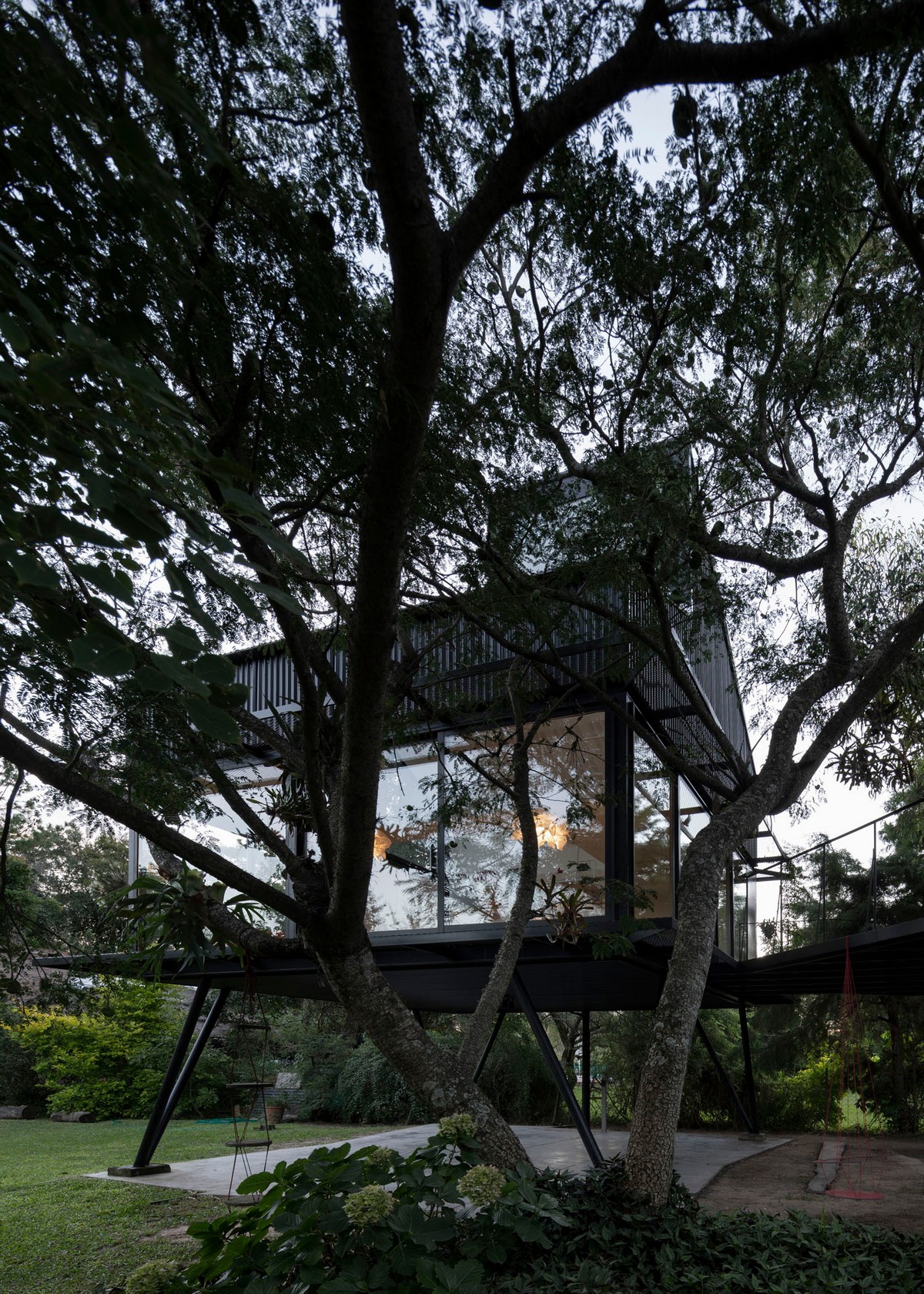 Чёрный домик на дереве в Аргентине