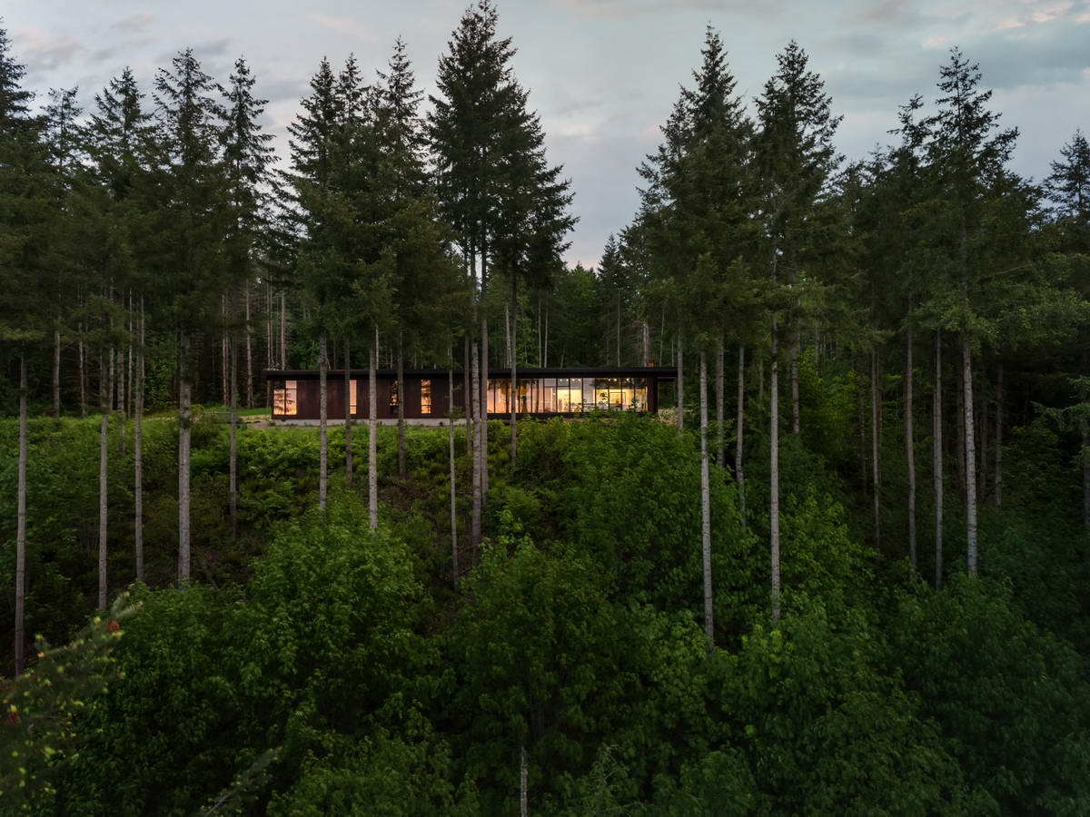 Одноэтажный лесной дом в Вашингтоне