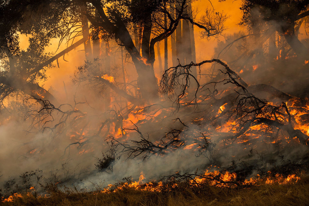 Мощные пожары бушуют в Калифорнии