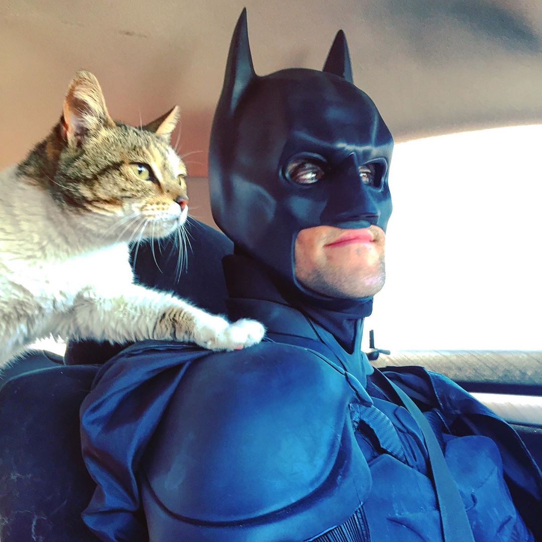Новый Бэтмен теперь спасает не людей, а животных