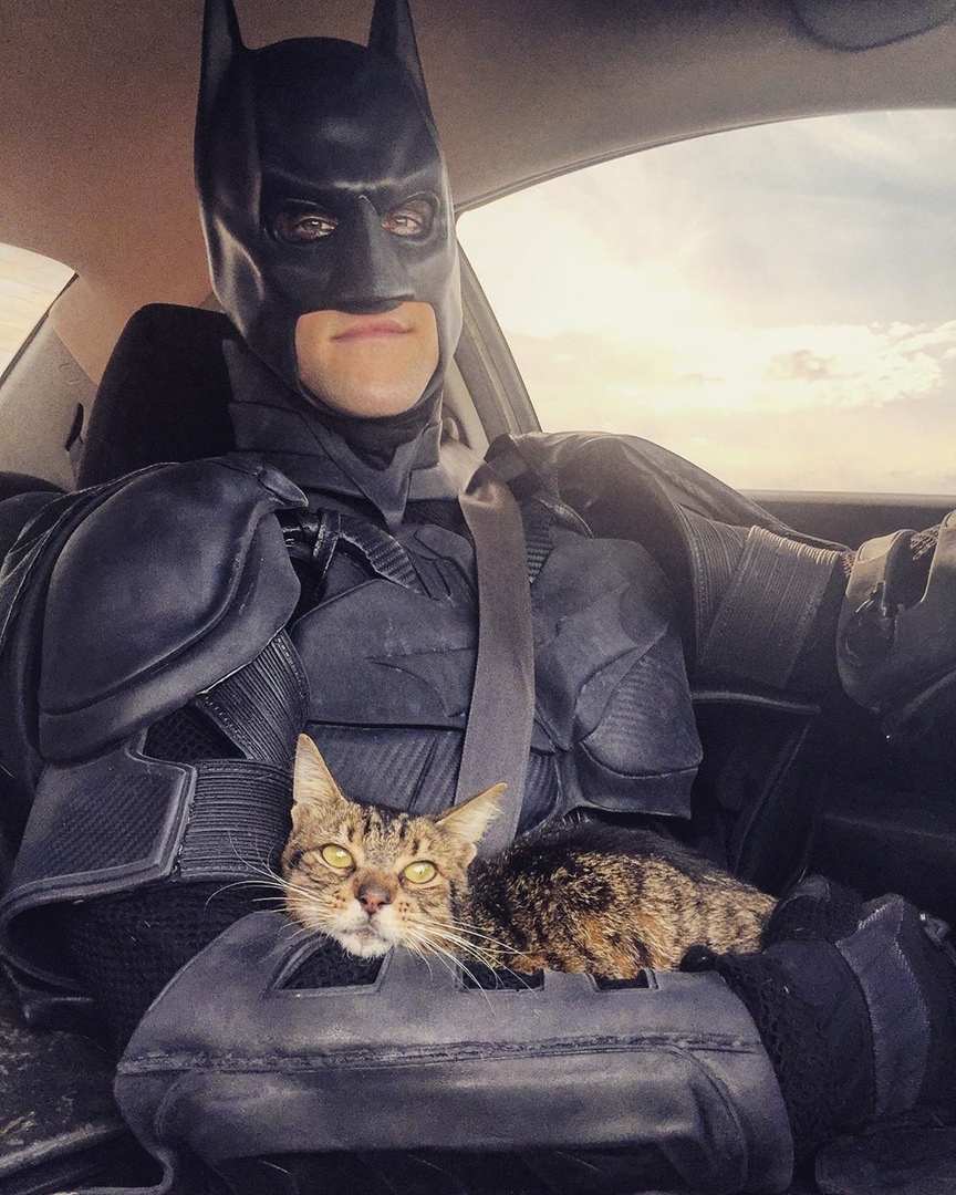Новый Бэтмен теперь спасает не людей, а животных