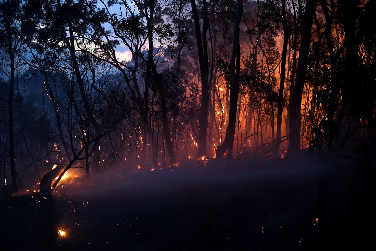 Лесные пожары бушуют в Австралии