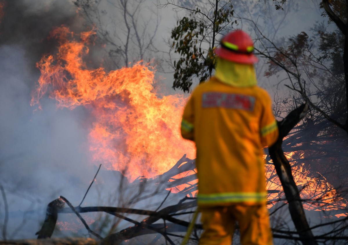 Лесные пожары бушуют в Австралии