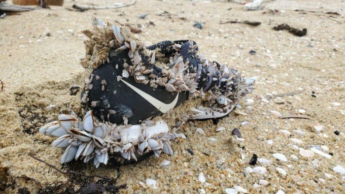 15 неожиданных находок, которые были сделаны на пляже