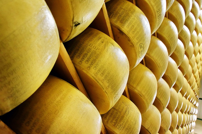 Интересные факты о сыре от неолита до наших дней