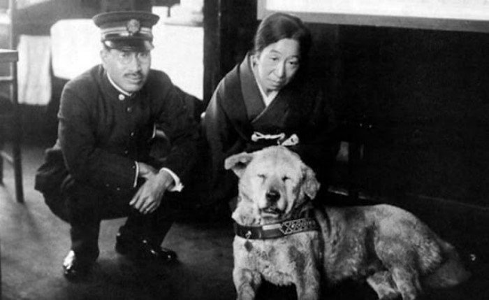 Ritka képek Hachiko-ról, a világ leghűségesebb kutyájáról