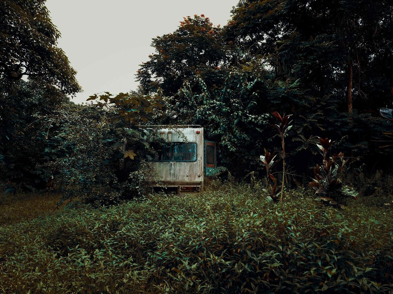 Заброшенные автомобили в густых гавайских лесах
