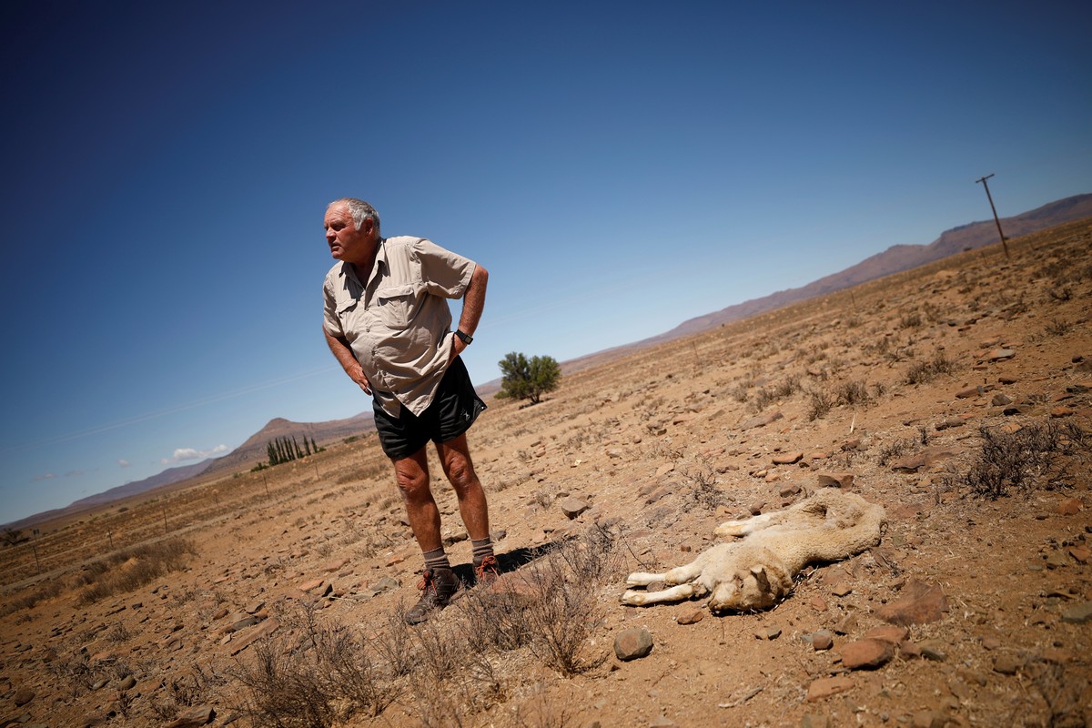 Сильнейшая засуха за сто лет на юге Африки