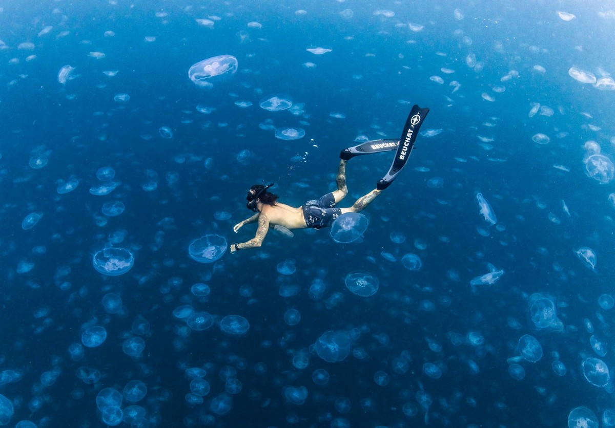 Удивительные снимки фридайверов в океане с медузами