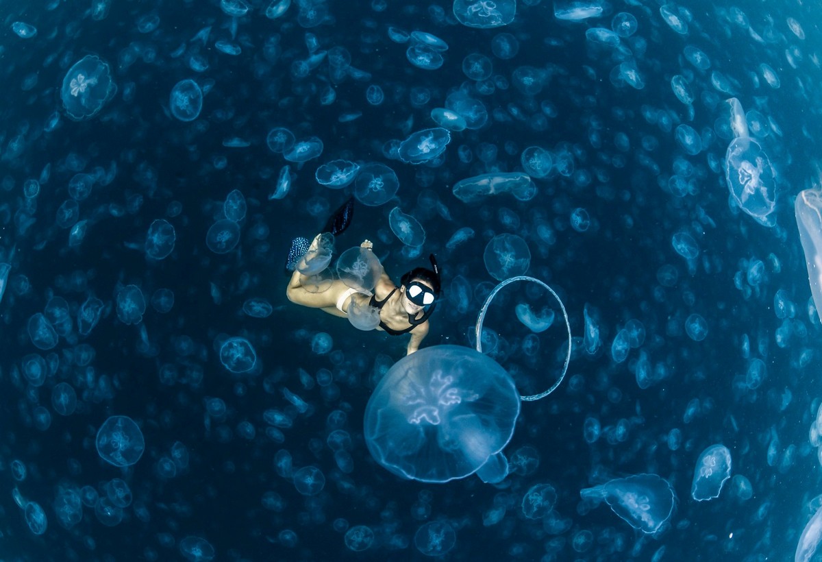 Удивительные снимки фридайверов в океане с медузами