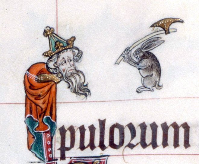 Воинствующие кролики из Средневековья