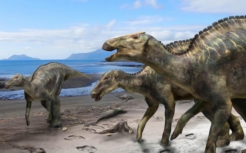 Самые необычные динозавры, которые жили на территории современной России