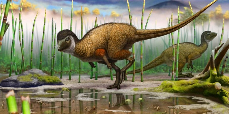 Самые необычные динозавры, которые жили на территории современной России