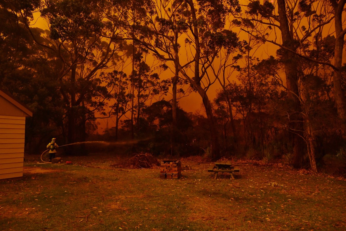 Сидней в дыму от лесных пожаров