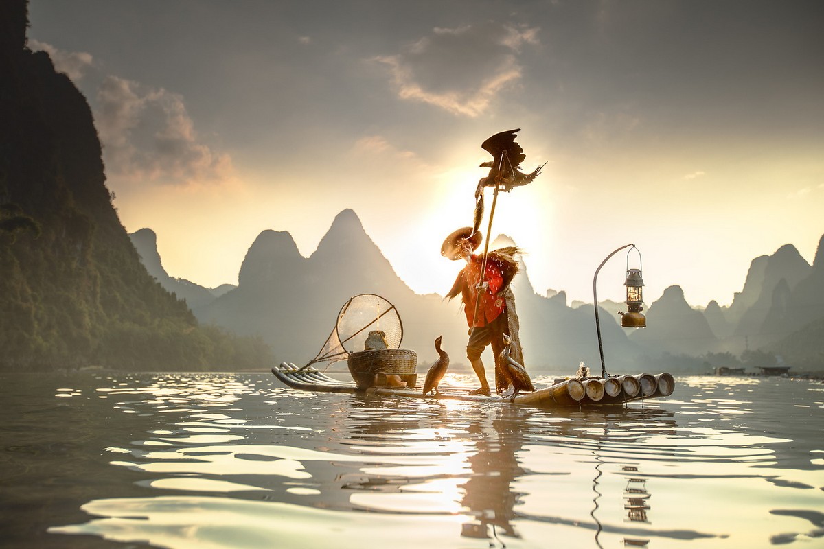 Удивительная рыбалка с помощью бакланов в Китае