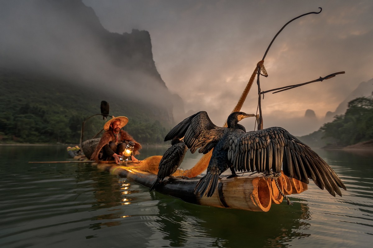 Удивительная рыбалка с помощью бакланов в Китае