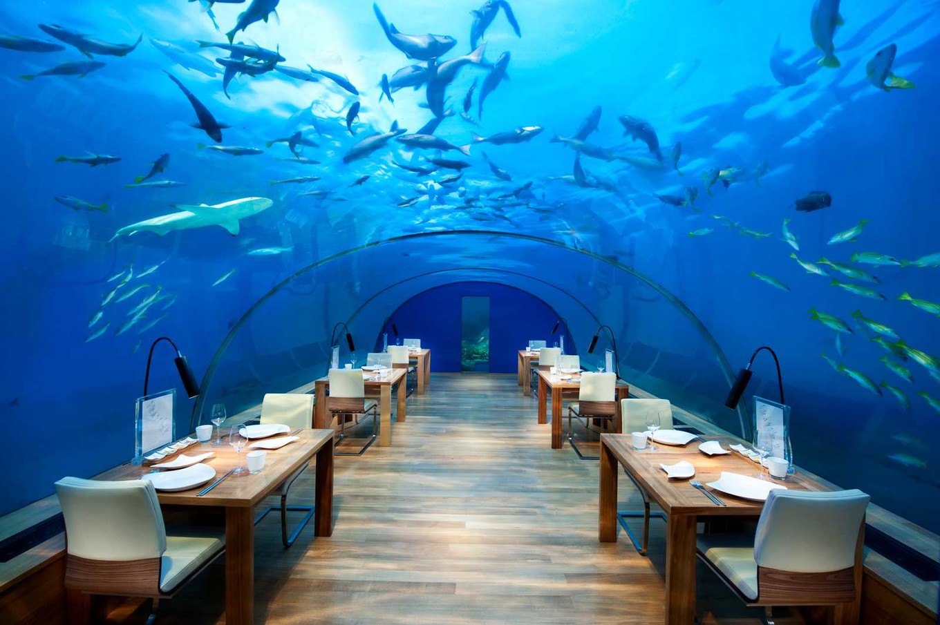 Подводная вилла в отеле на Мальдивах
