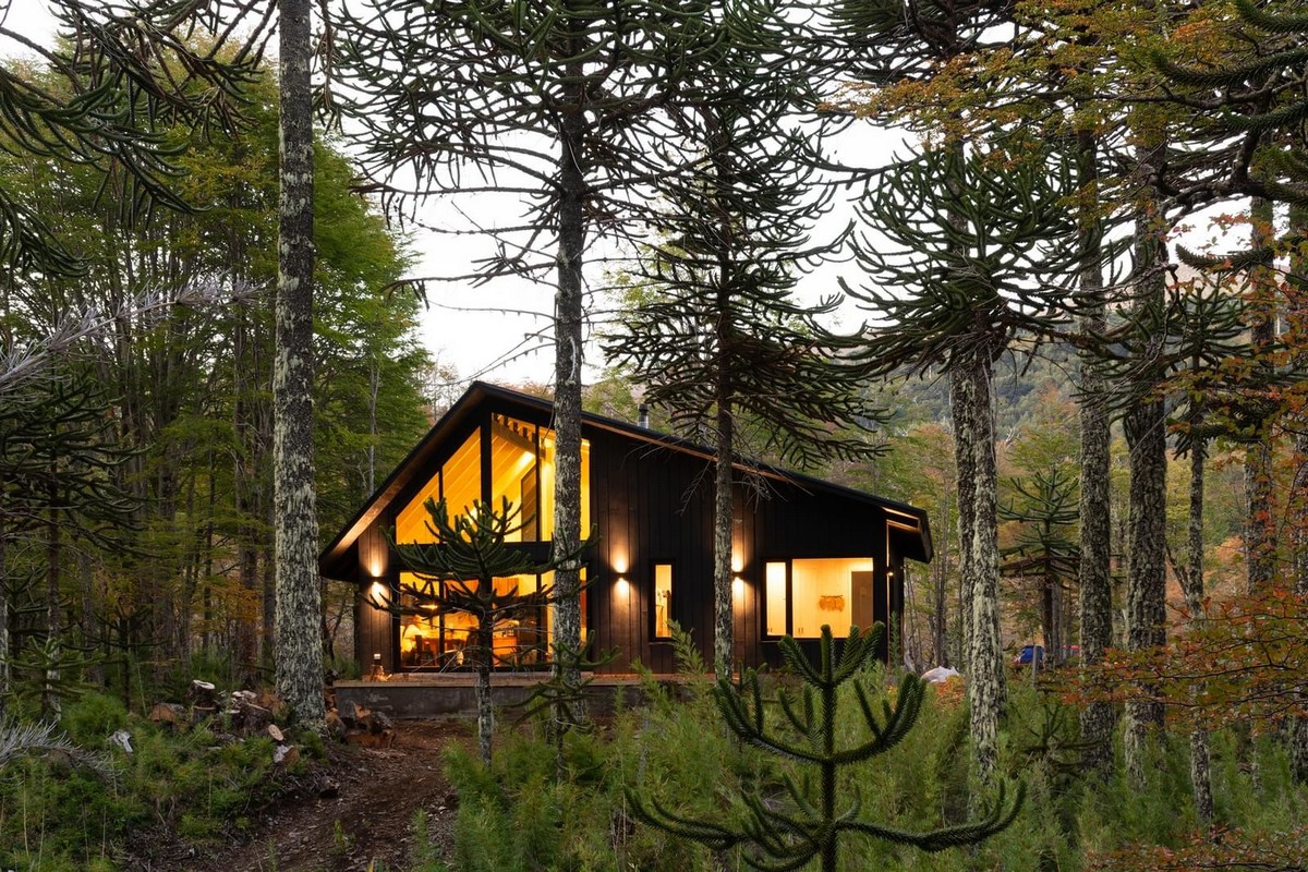 Загородный дом в лесу Чили