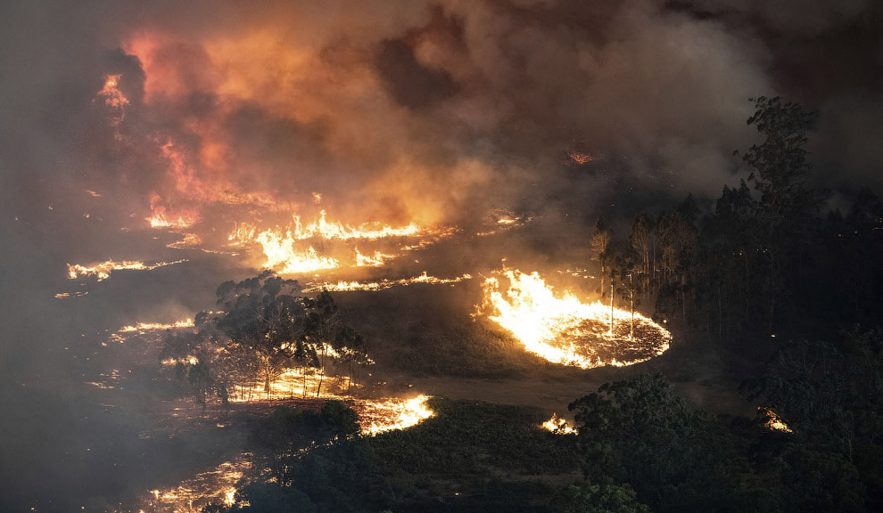 В Австралии продолжаются лесные пожары
