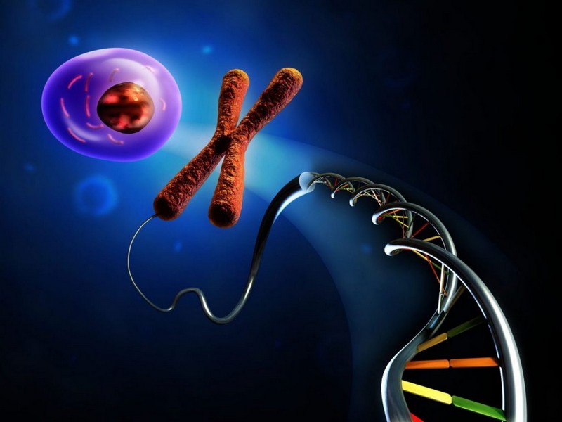Интересные факты о молекуле ДНК и её значении в жизни человека