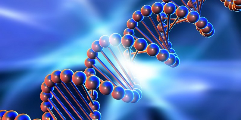 Интересные факты о молекуле ДНК и её значении в жизни человека