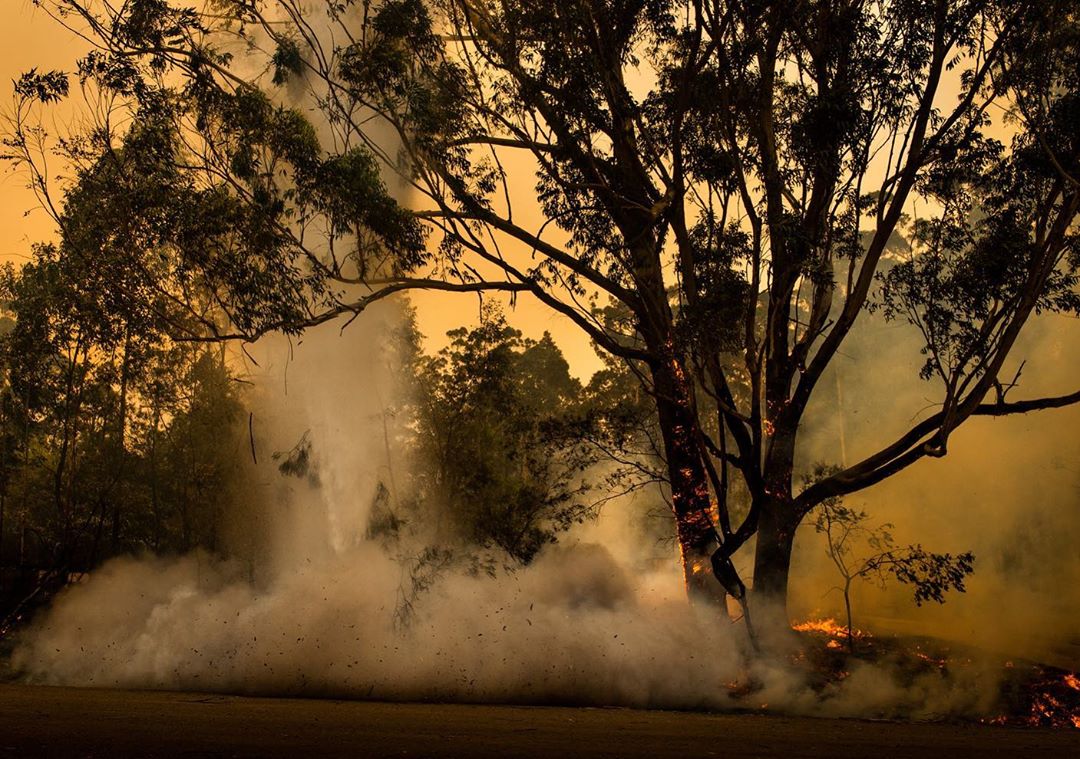 Фотограф документирует разрушительные лесные пожары в Австралии