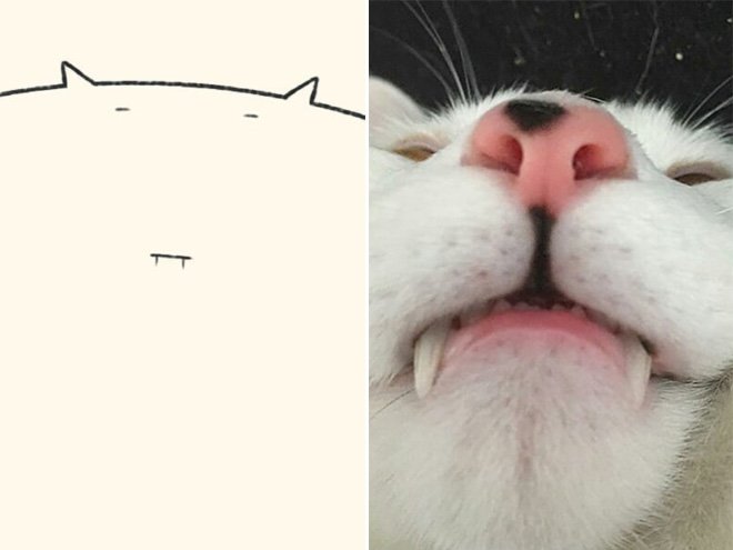 Очень точные кошачьи портреты