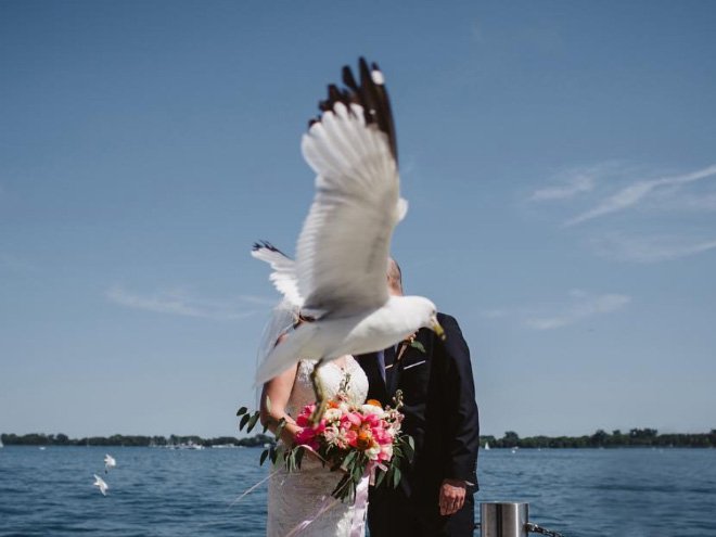 Забавные случайные свадебные фотобомбы