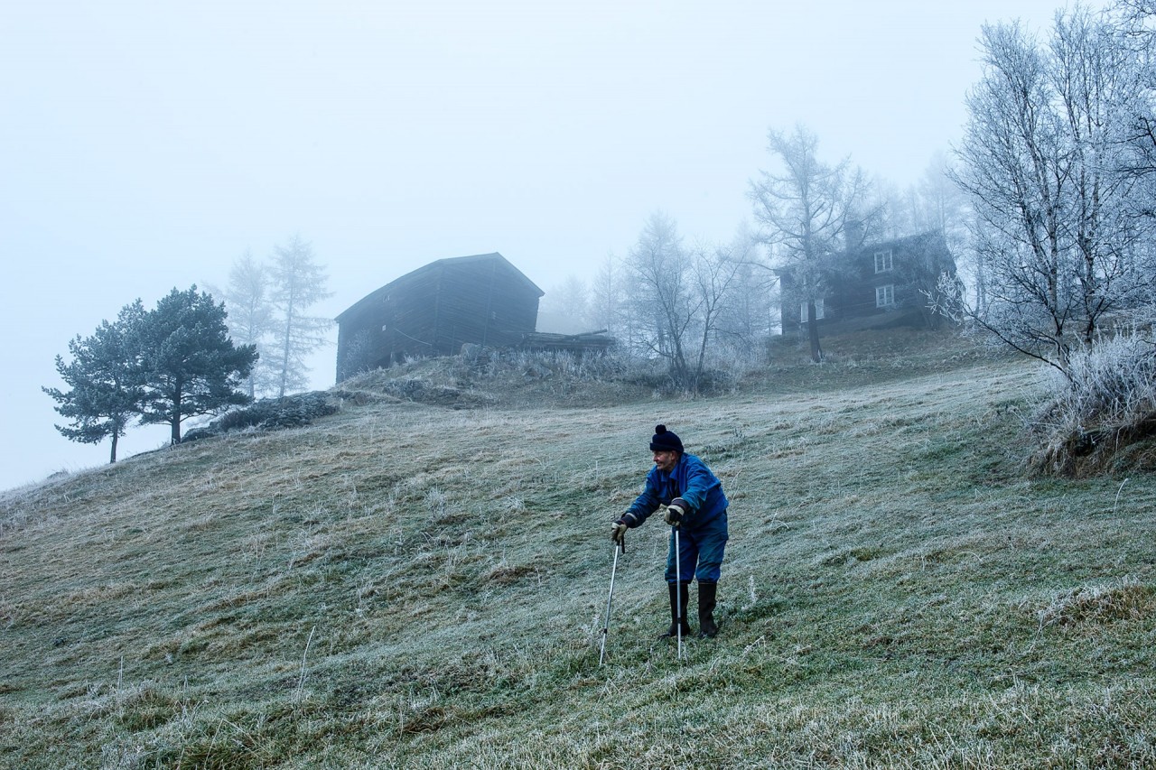 Уединённая жизнь норвежского фермера в фотопроекте Нильса Тьюна