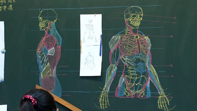 Тайваньский преподаватель рисует невероятные анатомические иллюстрации на доске
