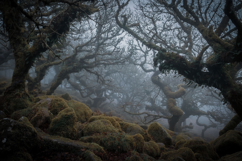 Прекрасные снимки из национальных парков и заповедников Англии