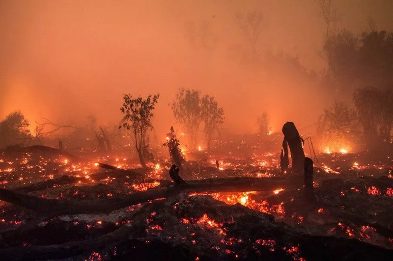 Самые крупные пожары в мире за всю историю