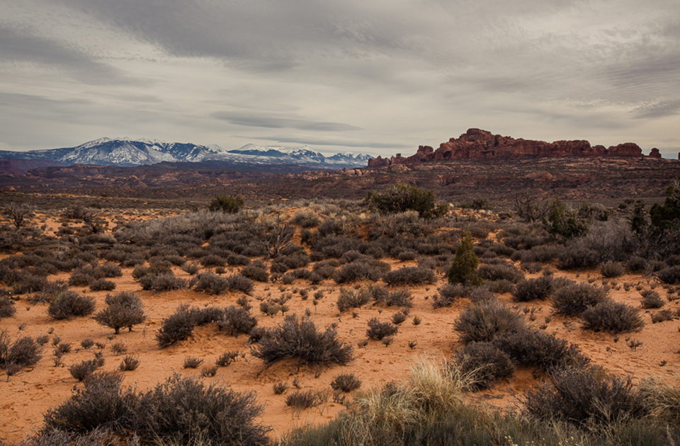 Красоты штата Юта в объективе польского фотографа Юстины Здуньчик территории, природных, Колорадо, более, гигантские, каньоны, штата, Долина, поверить, назад, огромной, столовые, плескалось, Спрессовавшийся, песок, временем, сформировали, песчаник, горыТрудно, частью