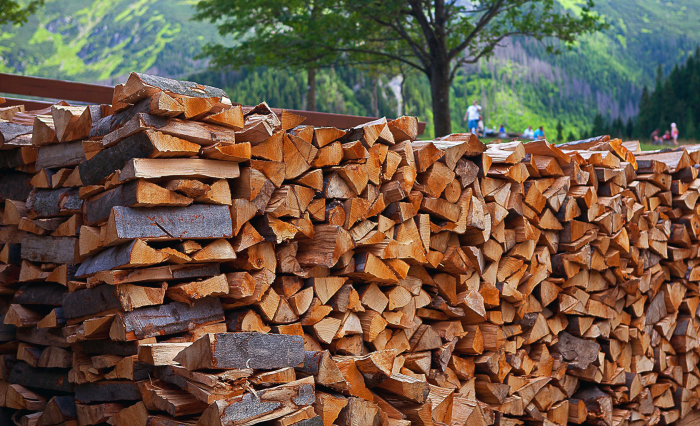 Как выбрать дрова, которые дают больше тепла