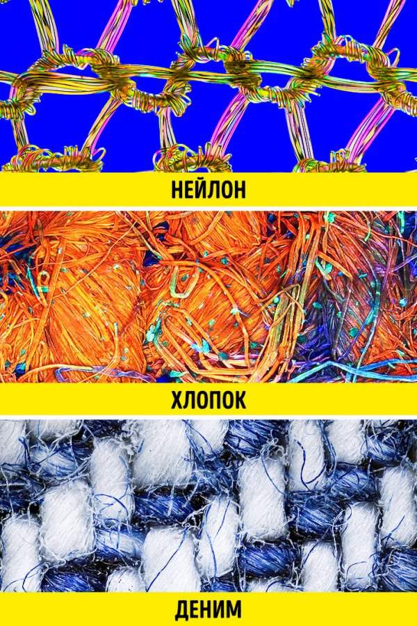 Сравнение разных вещей на снимках через микроскоп