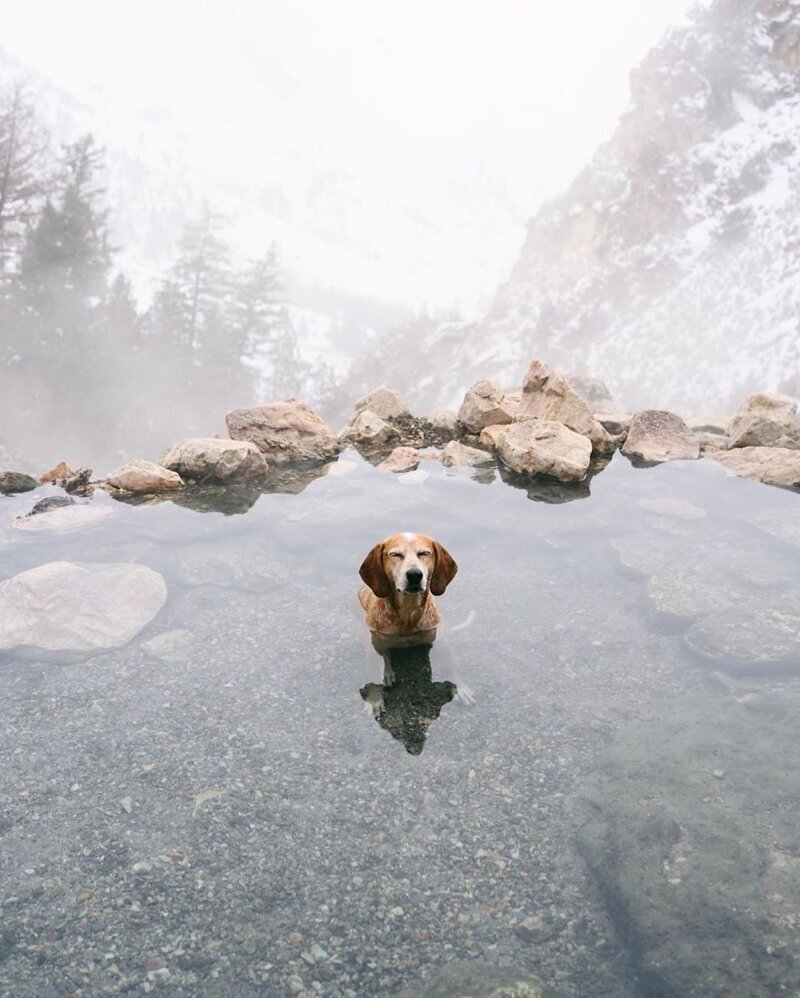 Фотограф Терон Хамфри и его собака Мэдди путешествуют вместе