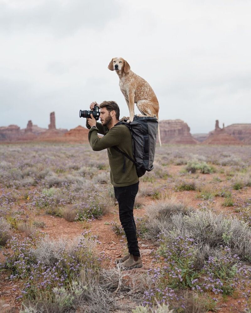 Фотограф Терон Хамфри и его собака Мэдди путешествуют вместе