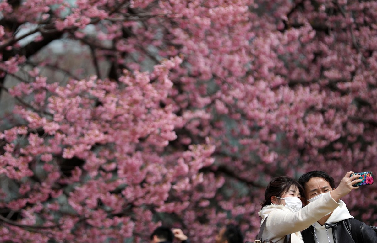 Сакуры человека. Фестиваль цветущей вишни в Китае. Сакура человек. Март в Японии. Цветущая Сакура и люди.
