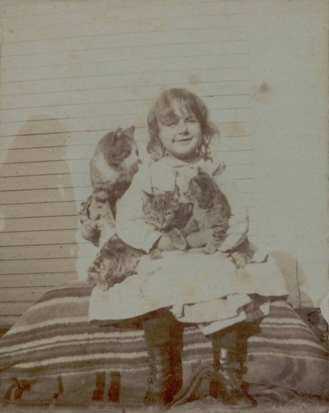 Котики были любимыми домашними питомцами ещё 100 лет назад