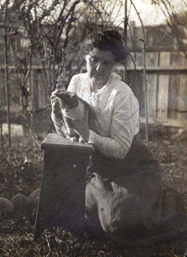 Котики были любимыми домашними питомцами ещё 100 лет назад
