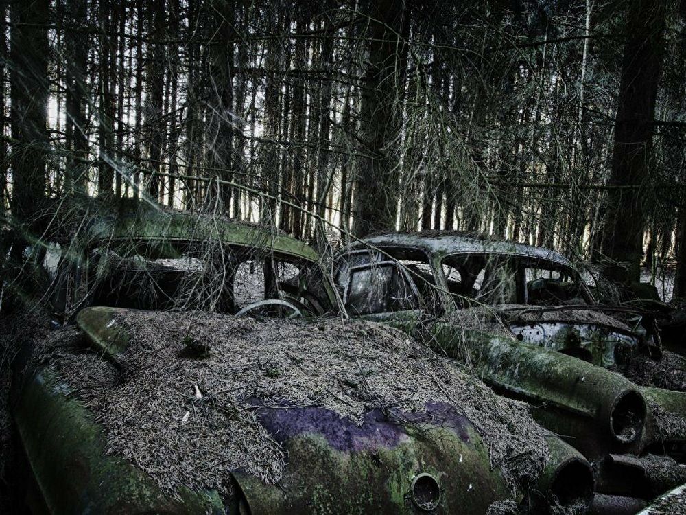 Красота заброшенных автомобилей в фотокниге Дитера Кляйна Авто/Мото