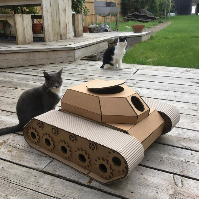 Котики в картонных танках