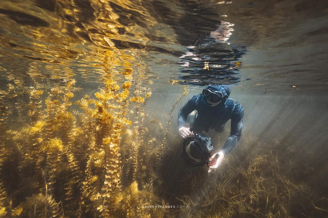 Подводные фотографии с ныряльщиками от Лорана Фарже