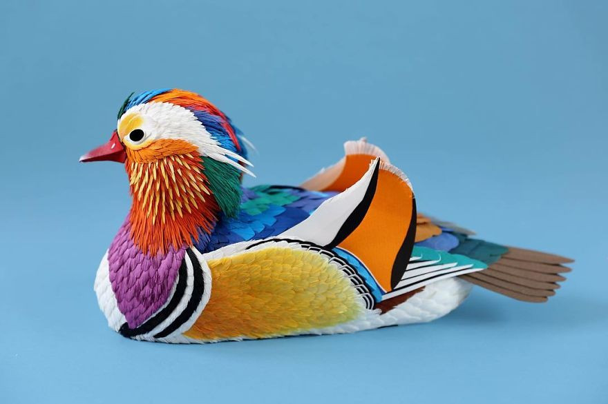 Реалистичные птицы из бумаги от колумбийской художницы