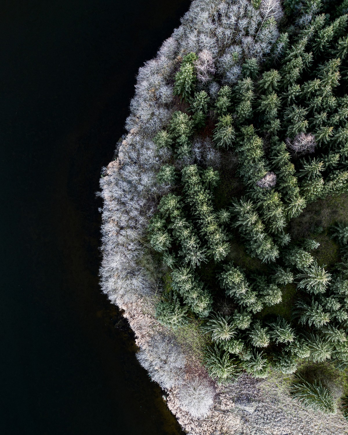 Красота природы Литвы на снимках Гиедры Бартас
