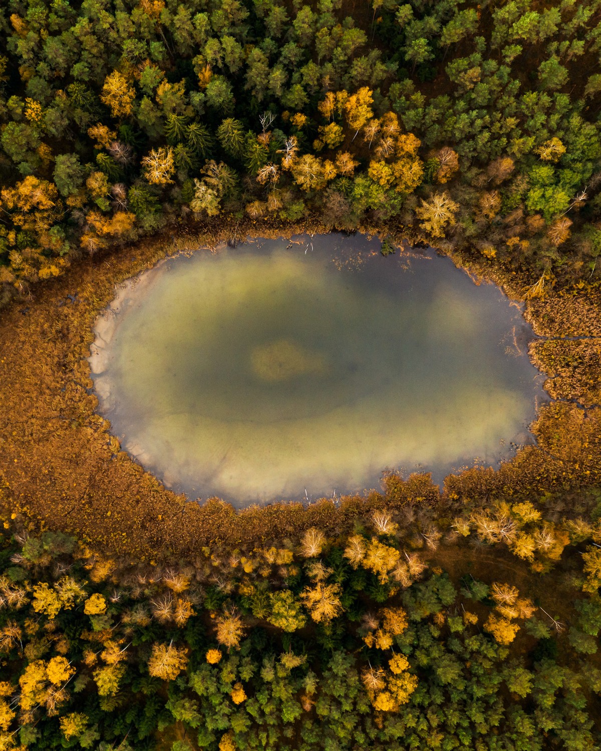 Красота природы Литвы на снимках Гиедры Бартас