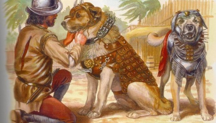 Боевые собаки - грозное оружие конкистадоров