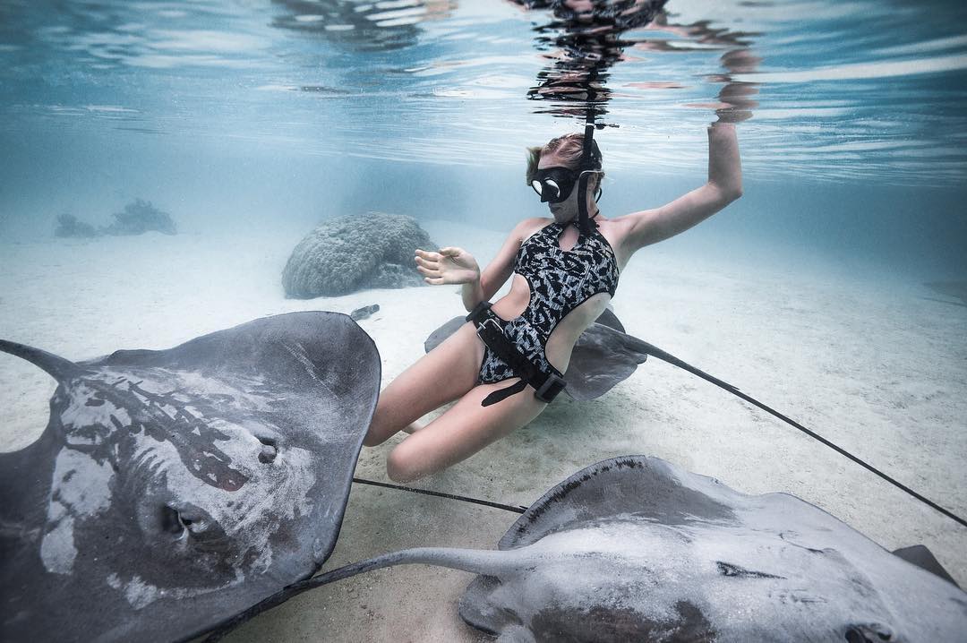 Девушка плавает с дельфинами, китами, акулами и скатами