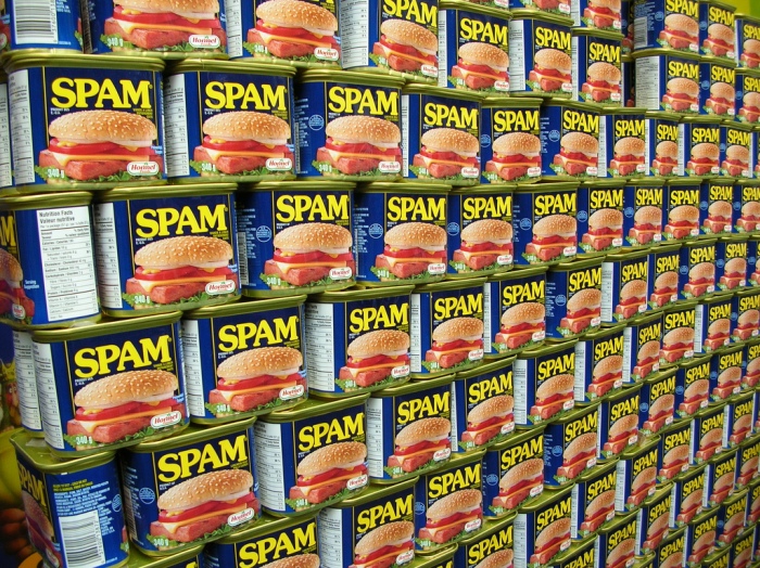 История появления термина спам
